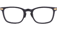 NJT2002 Eyeglasses Black Gold