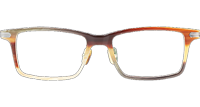 NJT2018 Eyeglasses Brown Silver