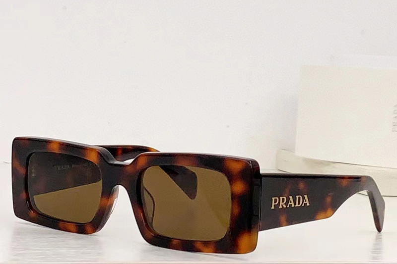 OPR07S Sunglasses In Tortoise