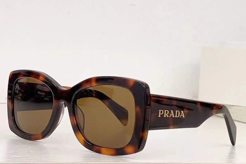 OPR08S Sunglasses In Tortoise