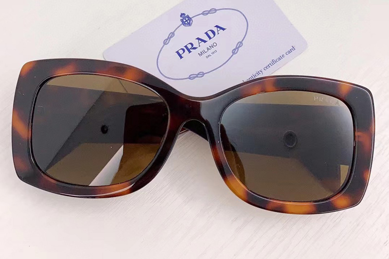 OPR08S Sunglasses In Tortoise