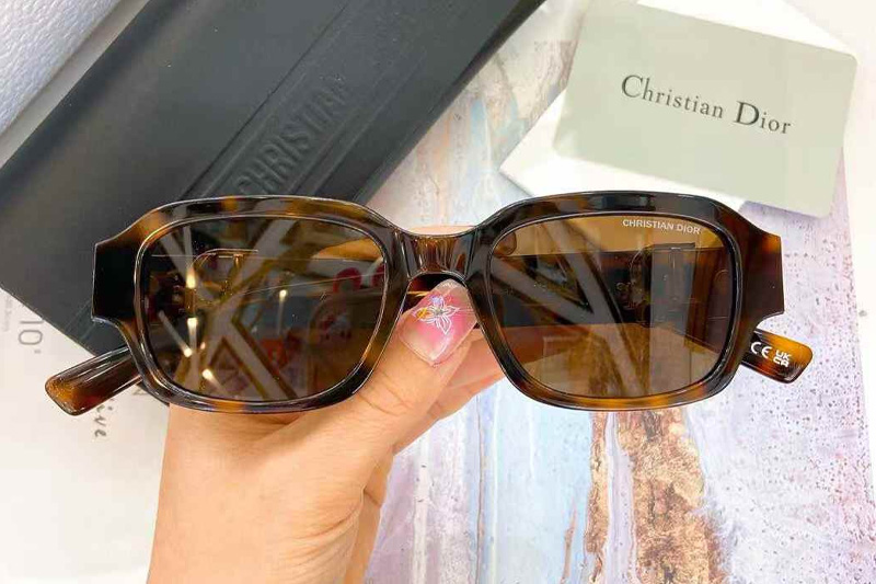 Oblique S2I Sunglasses Tortoise Brown