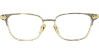 Oraloverhaul Eyeglasses Gold