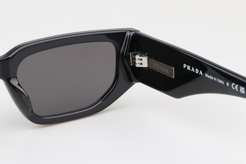 PR09Z Sunglasses Black Gray