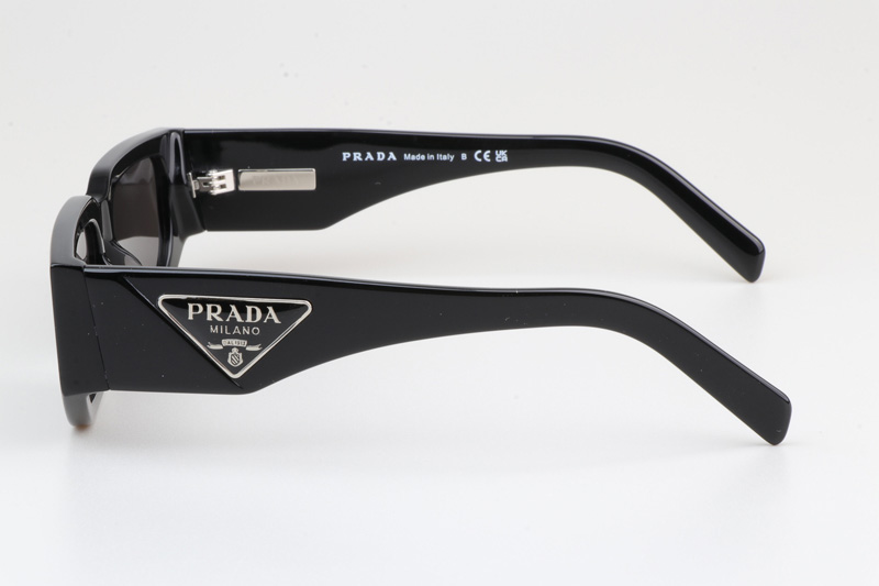 PR09Z Sunglasses Black Gray