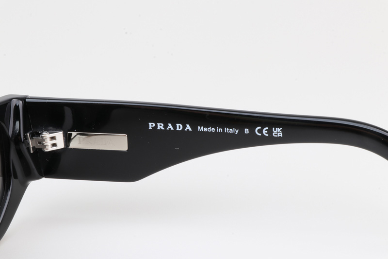 PR09Z Sunglasses Black Gray