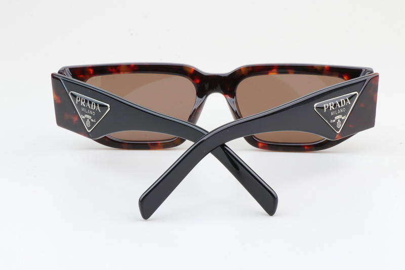 PR09Z Sunglasses Tortoise Black Brown