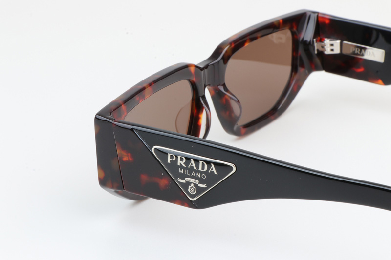 PR09Z Sunglasses Tortoise Black Brown