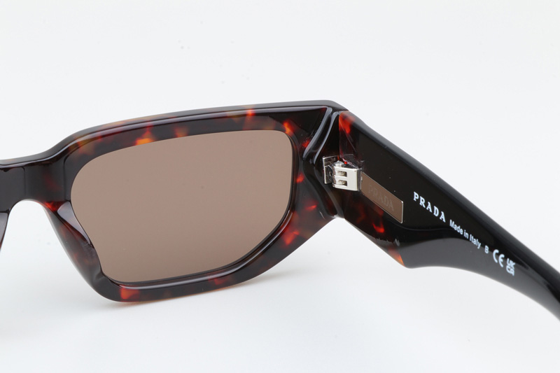 PR09Z Sunglasses Tortoise Black Brown