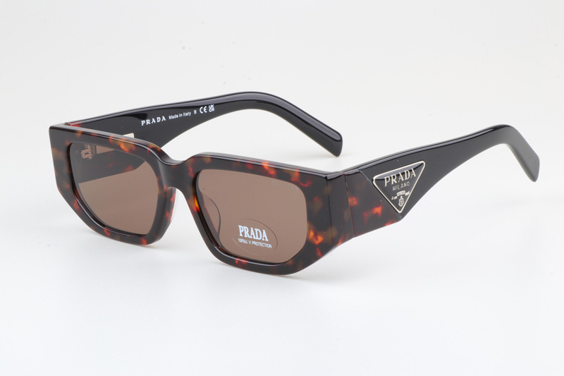 PR09Z Sunglasses Tortoise Black Brown