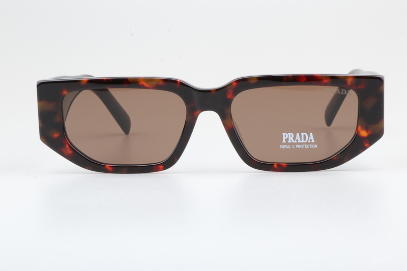 PR09Z Sunglasses Tortoise Black Brown