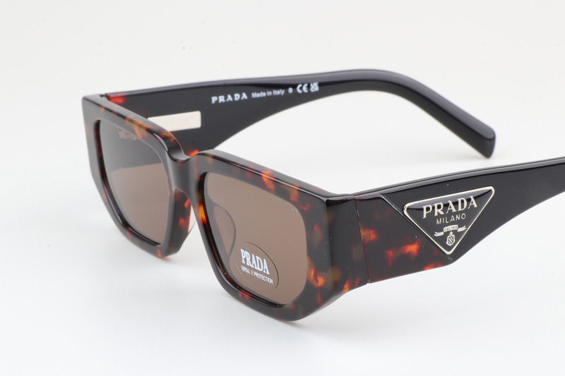 PR09Z Sunglasses Tortoise Black Brown