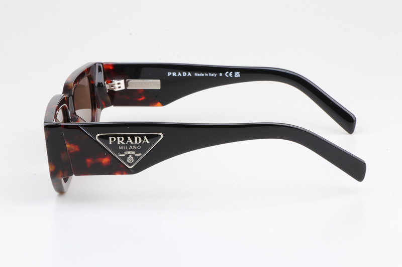 PR09Z Sunglasses Tortoise Black Brown