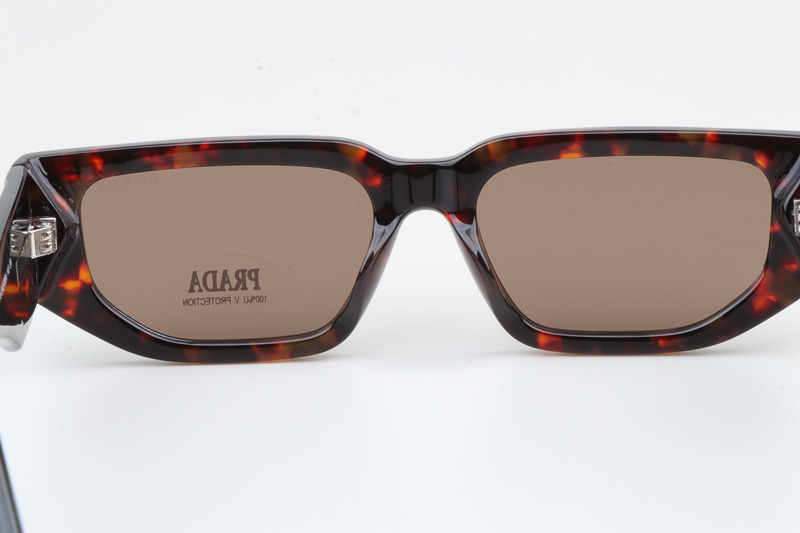 PR09Z Sunglasses Tortoise Black Brown