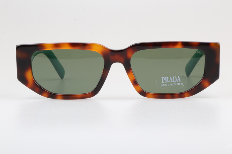 PR09Z Sunglasses Tortoise Blue Green