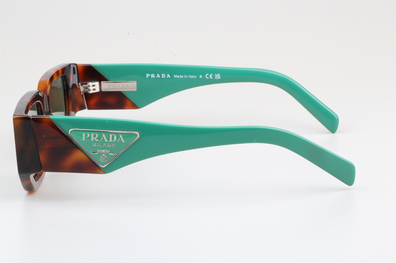 PR09Z Sunglasses Tortoise Blue Green