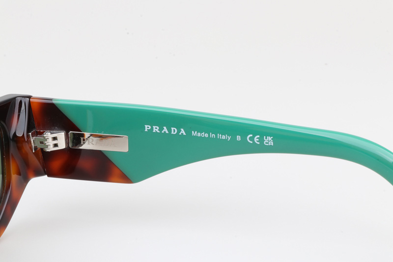 PR09Z Sunglasses Tortoise Blue Green