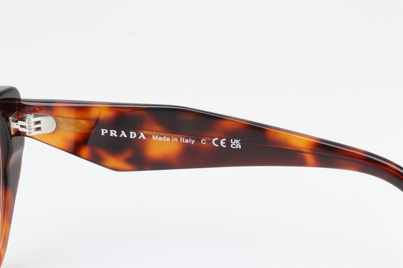 PR18WV Eyeglasses Tortoise