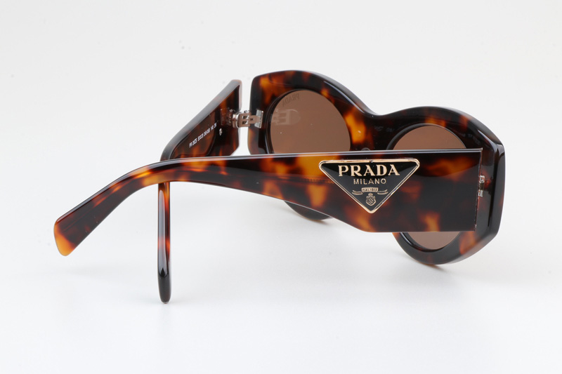 PR20ZS Sunglasses Tortoise Brown