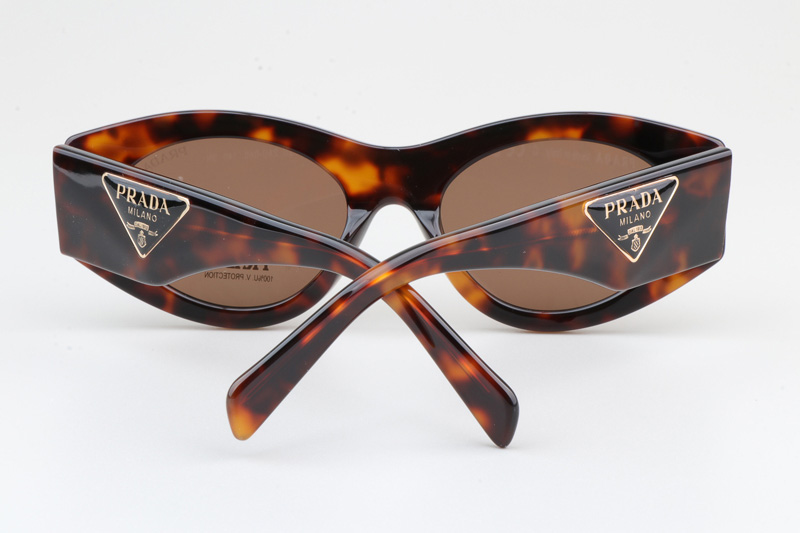 PR20ZS Sunglasses Tortoise Brown