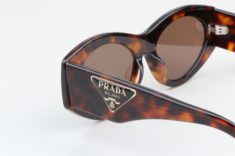 PR20ZS Sunglasses Tortoise Brown