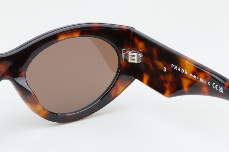 PR20ZS Sunglasses Tortoise Brown