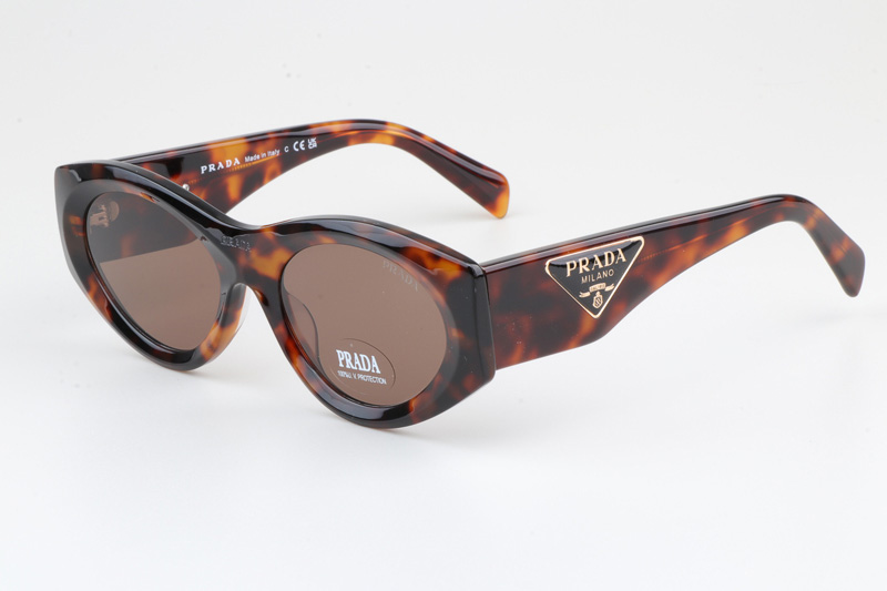 PR20ZS Sunglasses Tortoise Brown