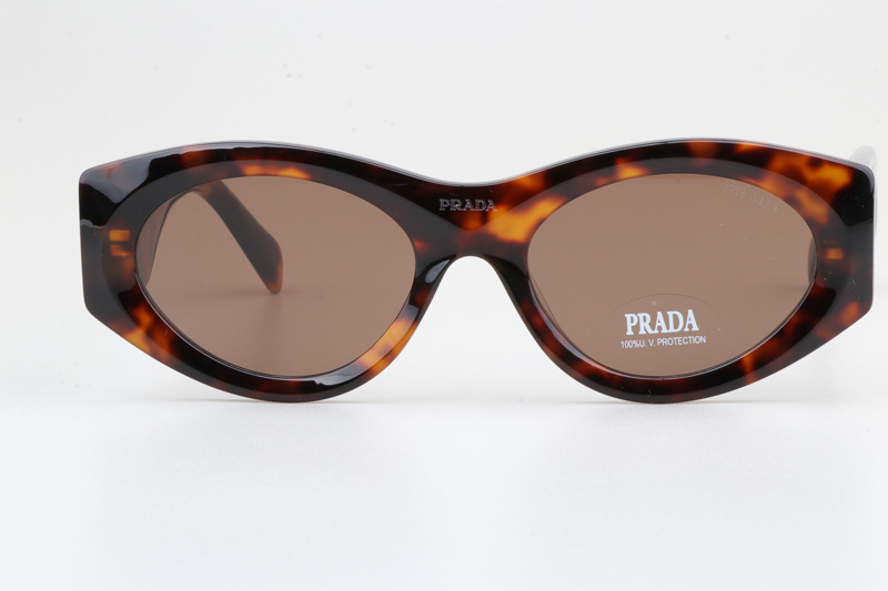 PR20ZS Sunglasses Tortoise Brown