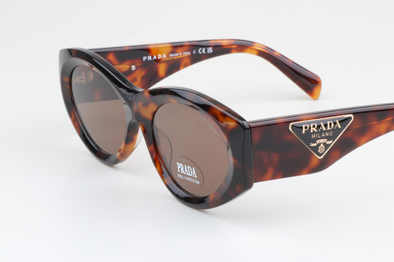 PR20ZS Sunglasses Tortoise Brown