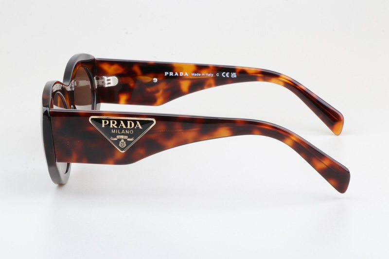 PR20ZS Sunglasses Tortoise Brown