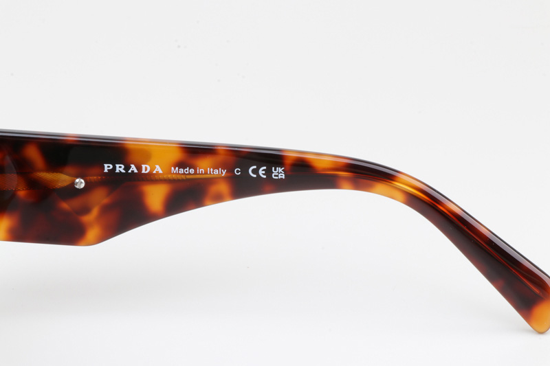 PR20ZS Sunglasses Tortoise Brown