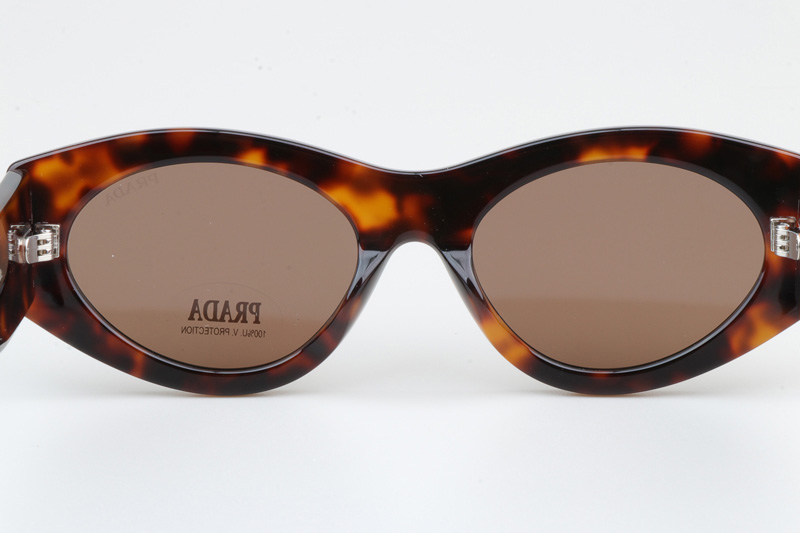 PR20ZS Sunglasses Tortoise Brown