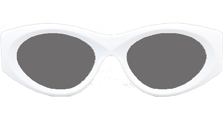 PR20ZS Sunglasses White Gray
