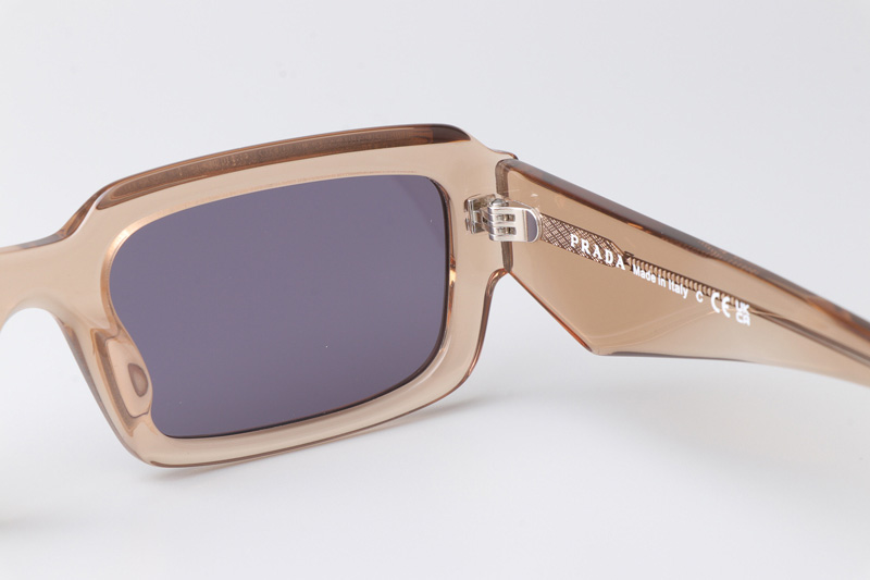 PR27ZS Sunglasses Brown Purple