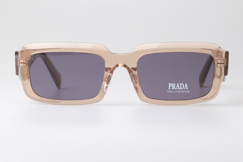 PR27ZS Sunglasses Brown Purple