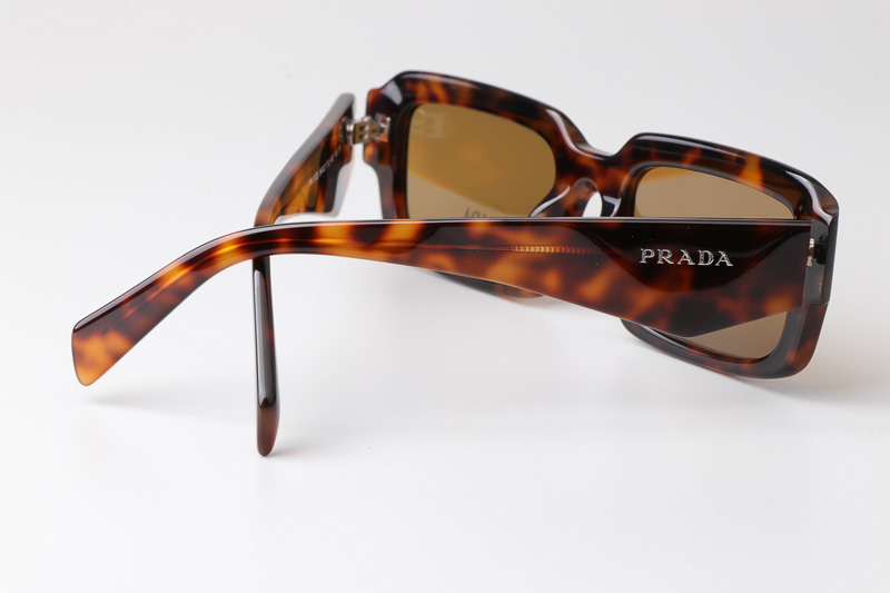 PR27ZS Sunglasses Tortoise Brown