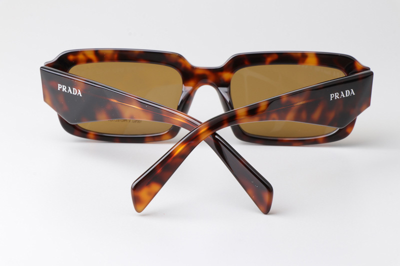 PR27ZS Sunglasses Tortoise Brown