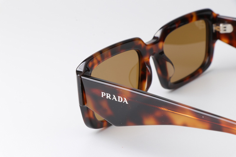 PR27ZS Sunglasses Tortoise Brown