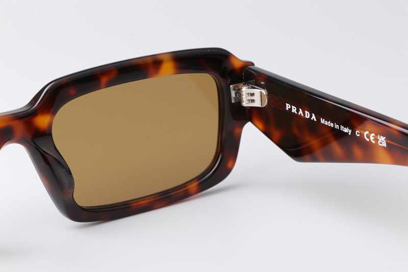 PR27ZS Sunglasses Tortoise Brown