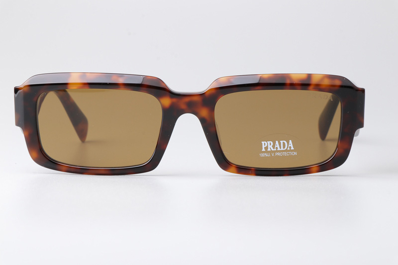 PR27ZS Sunglasses Tortoise Brown