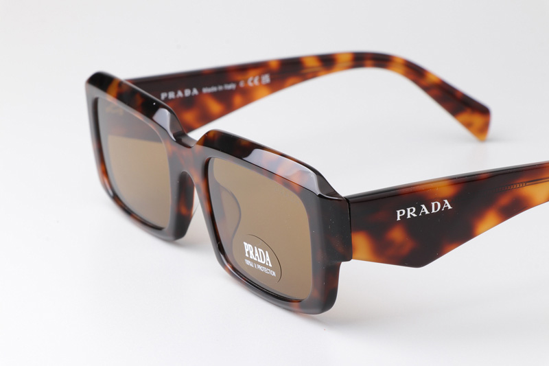 PR27ZS Sunglasses Tortoise Brown