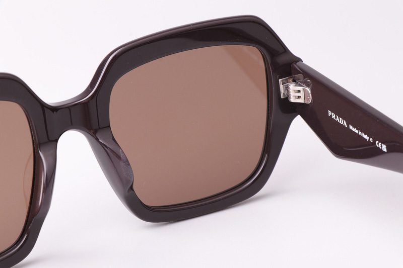 PR28ZS Sunglasses Coffee Brown