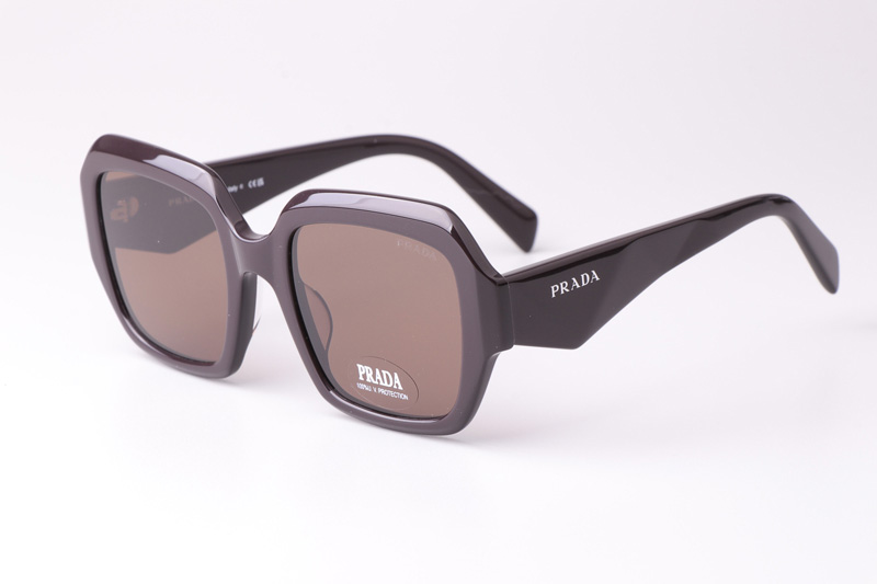 PR28ZS Sunglasses Coffee Brown