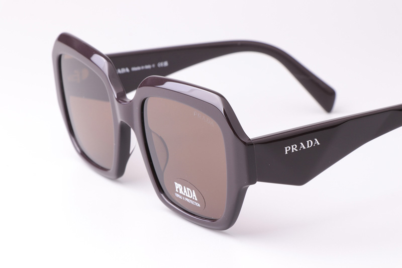 PR28ZS Sunglasses Coffee Brown