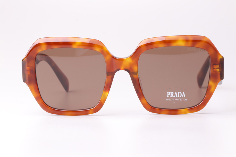 PR28ZS Sunglasses Light Tortoise Brown