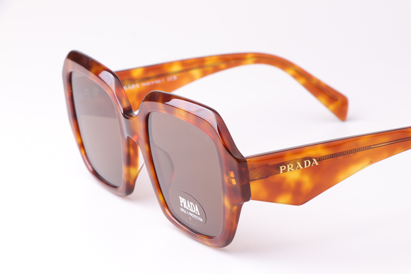 PR28ZS Sunglasses Light Tortoise Brown