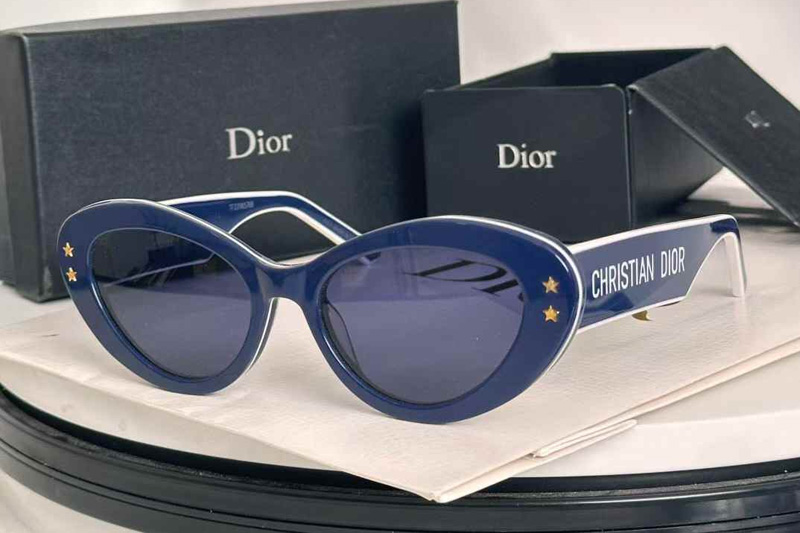 Pacific B1U Sunglasses Dark Blue Blue