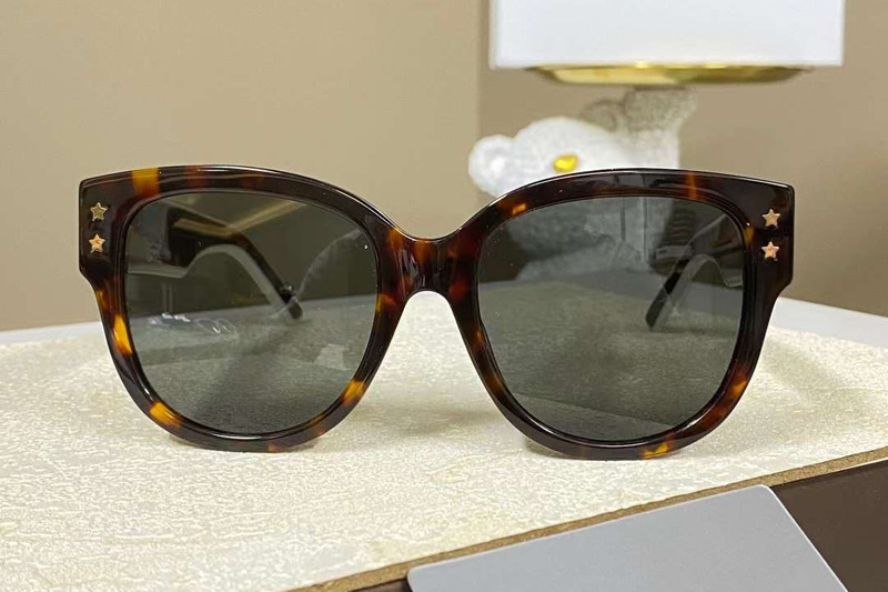 Pacific B2F Sunglasses Tortoise Gray