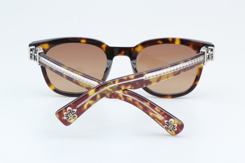 Penetranusrex Sunglasses Tortoise Gradient Brown