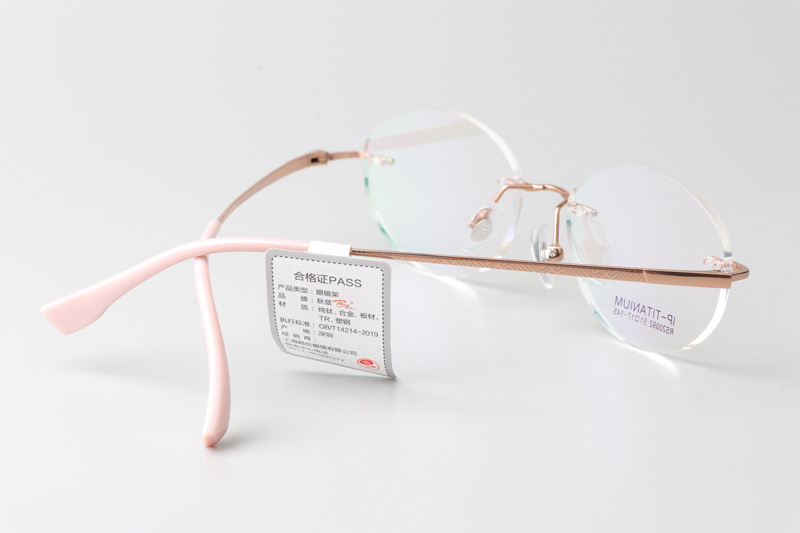 RS20092 Eyeglasses Rose Gold